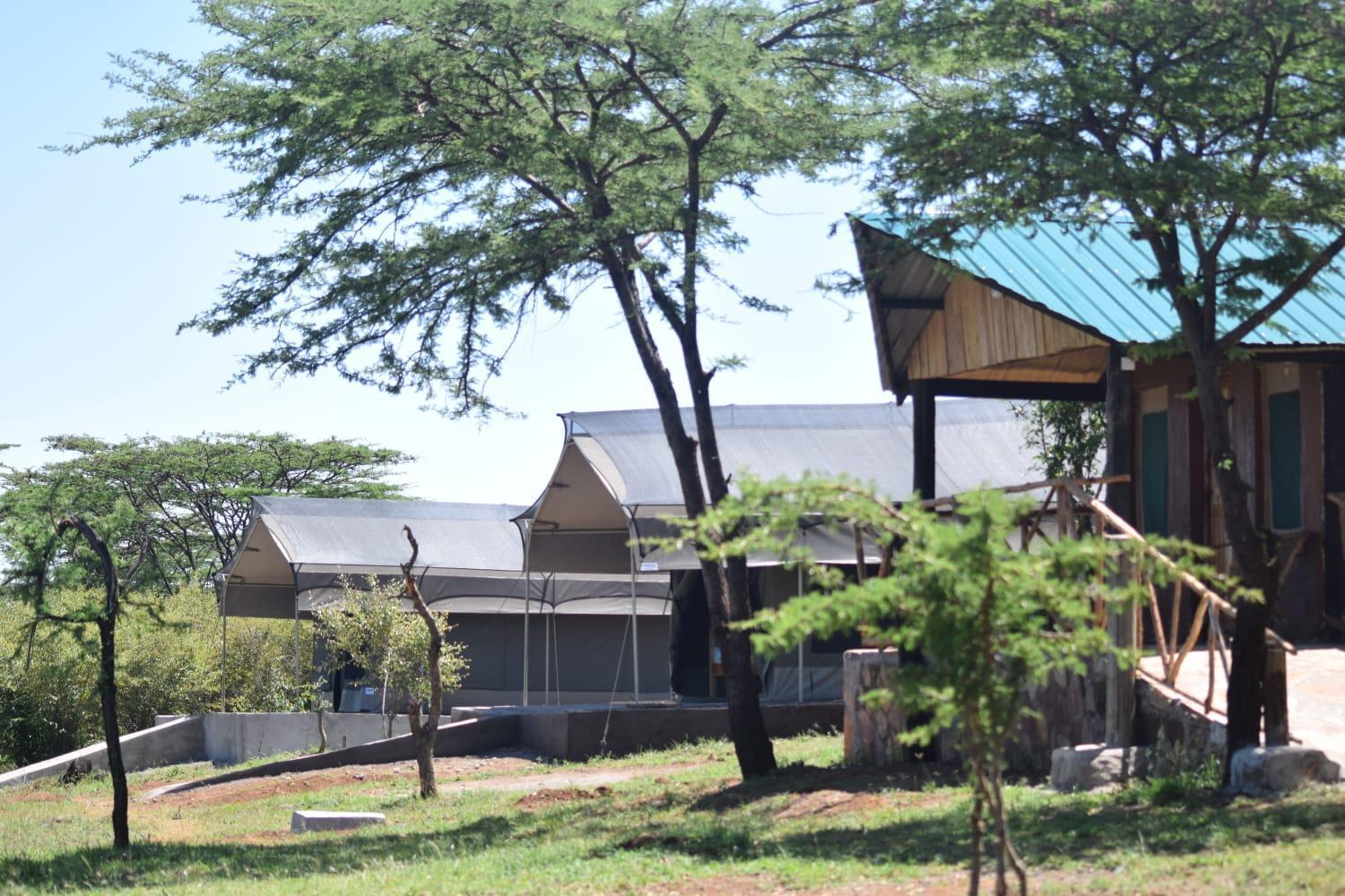 مبيت وإفطار Sekenani Maasai Mara Safari Camp In Kenya المظهر الخارجي الصورة