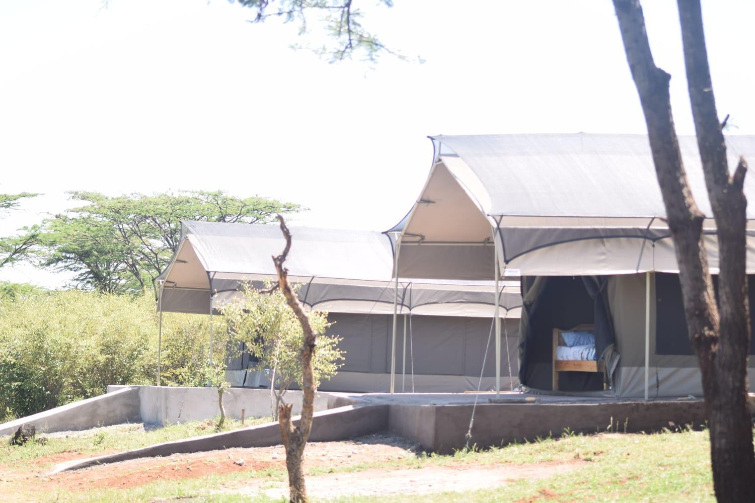 مبيت وإفطار Sekenani Maasai Mara Safari Camp In Kenya المظهر الخارجي الصورة