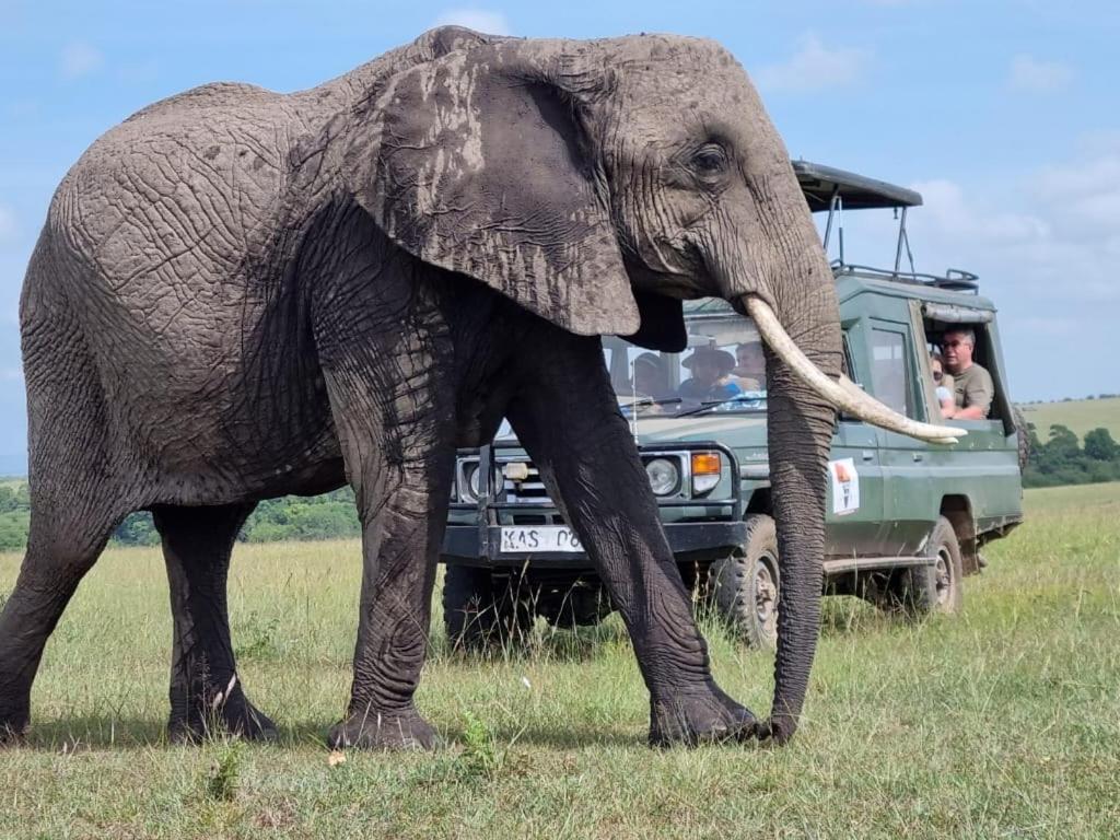 مبيت وإفطار Sekenani Maasai Mara Safari Camp In Kenya المظهر الخارجي الصورة
